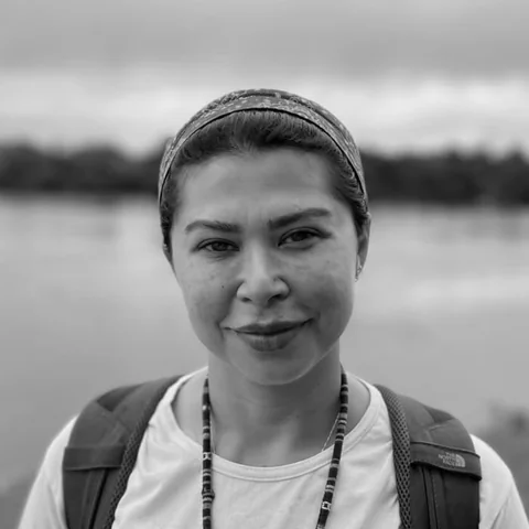 Ana Maria de Paula Moreira Alves, Conselheira Consultiva da EDS